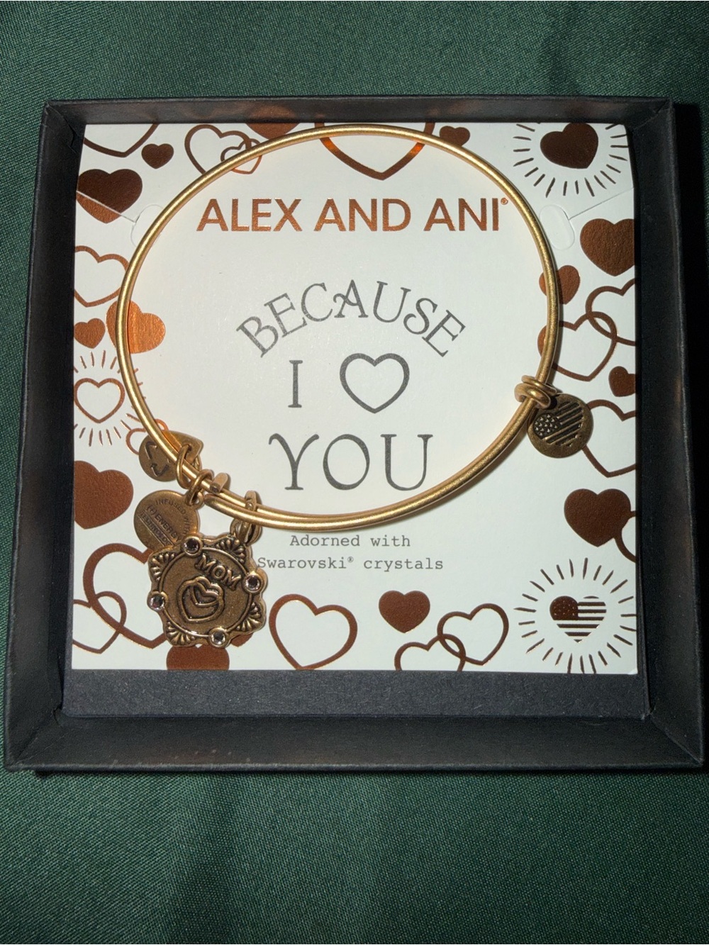 Alex and Ani Gold-Tone 'Because I Love You' Charm Bangle